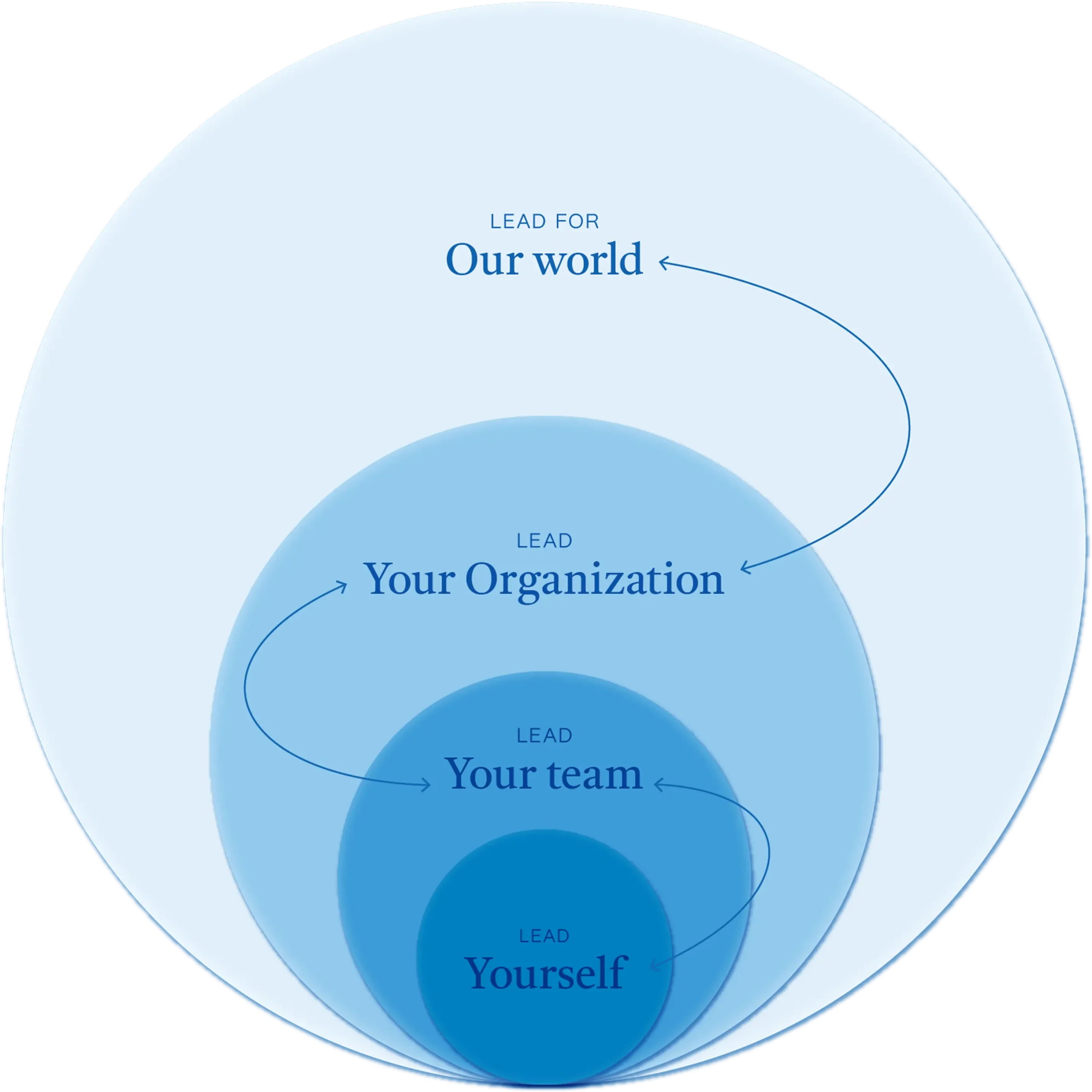 the-meir-method-diagram